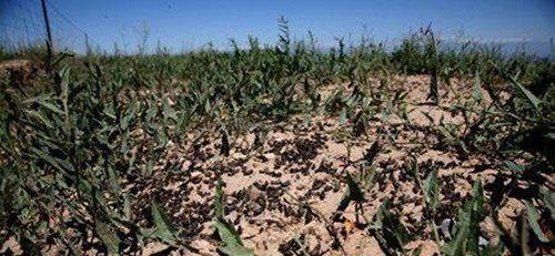 宰相叮嘱儿子:我死后将家中玉器摆棺前,儿子听从结果救全族一命