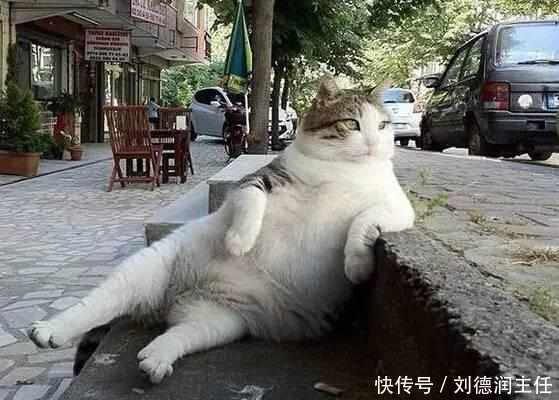 医院医事不不看的爆笑表情医生(加强版)8848肖仑表情包图片