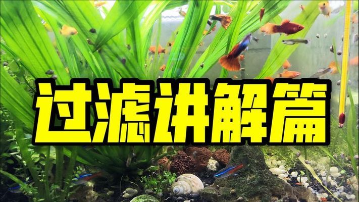 隨州魚缸售后維護(hù)電話地址（隨州魚缸售后維護(hù)電話地址查詢） 其他品牌魚缸