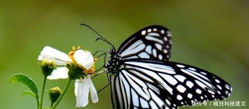 欠了十万块钱该怎么办,如何度过最艰难的日子
