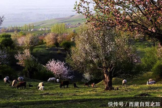 巩乃斯大草原,天山深处的“伊甸园”,一年四季都美得惊人!