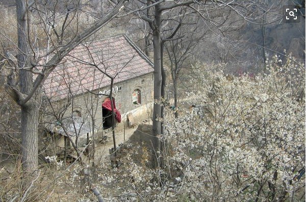 六岁男孩掉进沟里,爬起来手上沾满蛆,多年后发