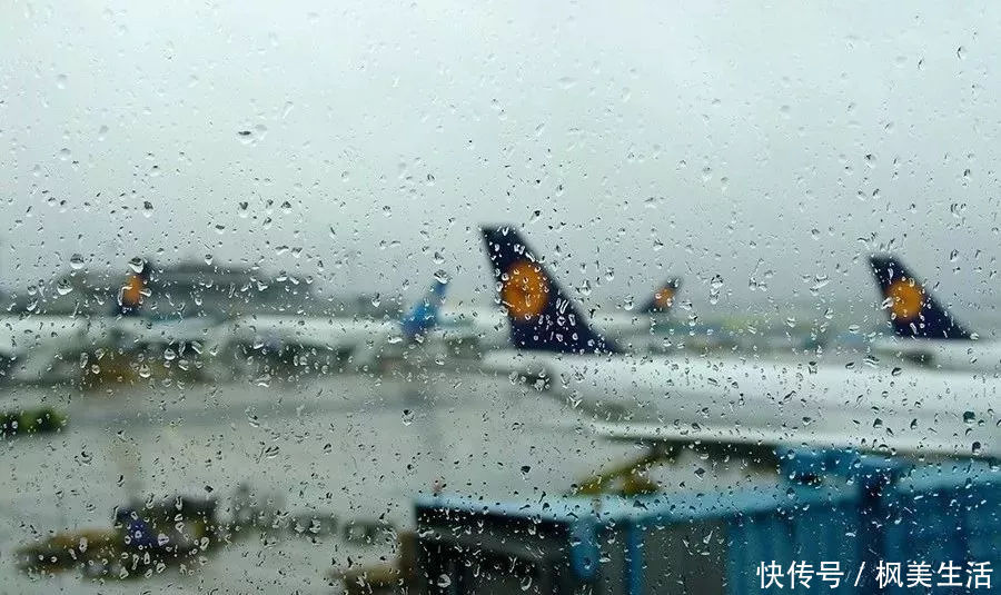 加拿大这些严格的法规将在12月生效!