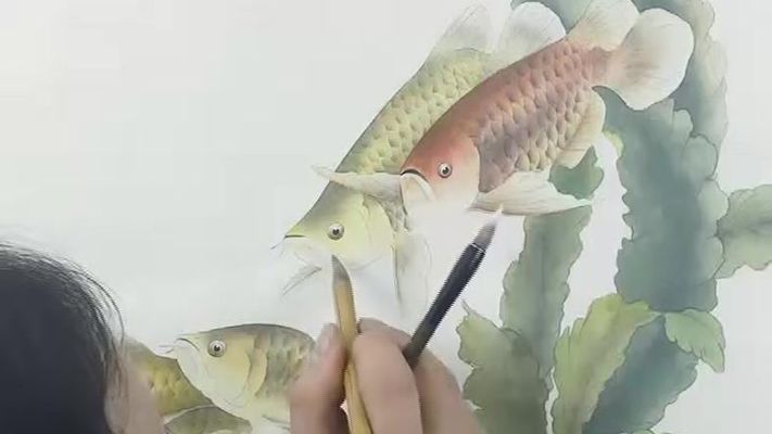 非洲象鼻魚（非洲象鼻魚能長(zhǎng)多大）