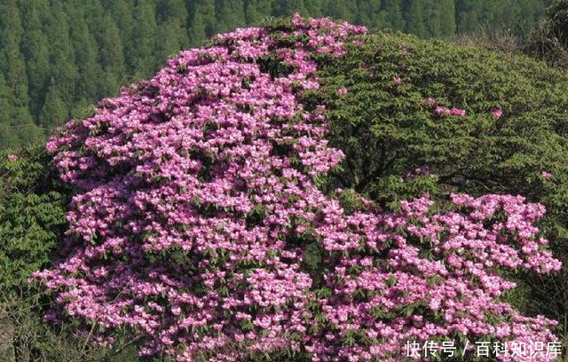 广西桂林人口最多的县,是桂林第二大城市,拥有