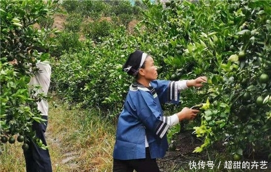 贵州省计划生育条例