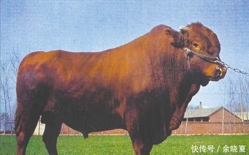 有缘千里来相会,8月将一炮响三红,“73年”牛牛人要关照一个人,是贵人 澳门威尼斯赌场网址