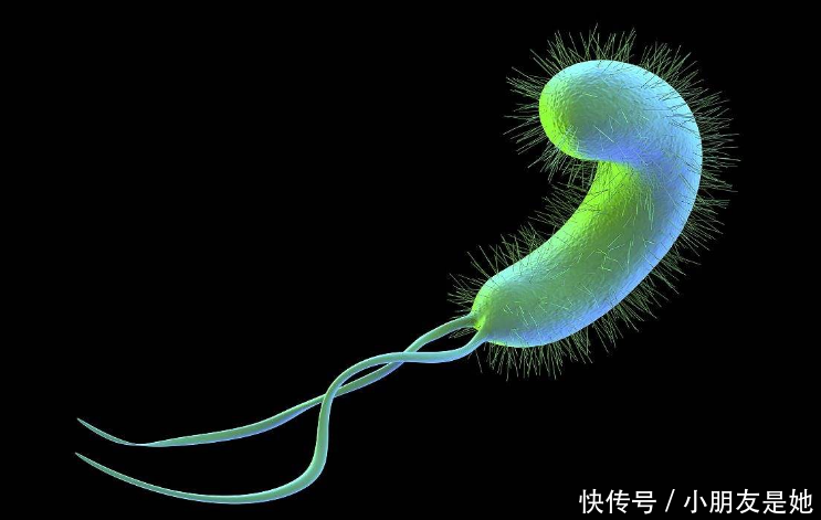 慢性胃炎反反复复,恶心想吐无食欲,也许你早该