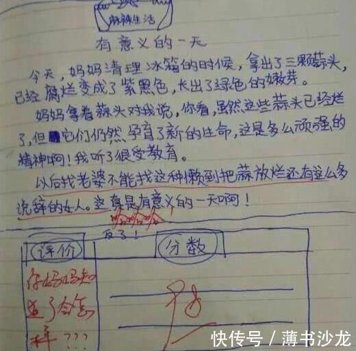 小学生 奇葩 作文,女老师评语亮了,爸爸看了很无