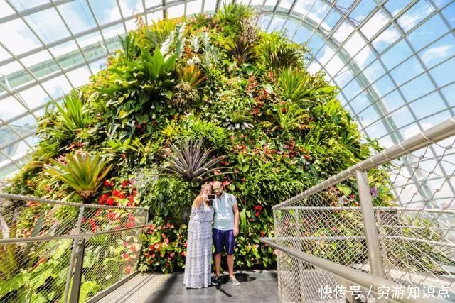 这是什么节奏?新加坡竟然花了10亿打造“原始森林”