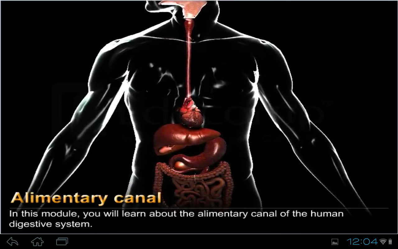 Human Digestive System截图6