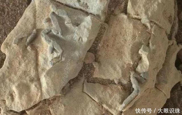 外星文明曾占领过火星?好奇号探测器在火星拍摄到一些奇怪的东西