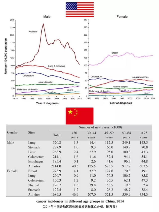 美国 2018 癌症统计报告发布，中美对比结果差异在哪儿