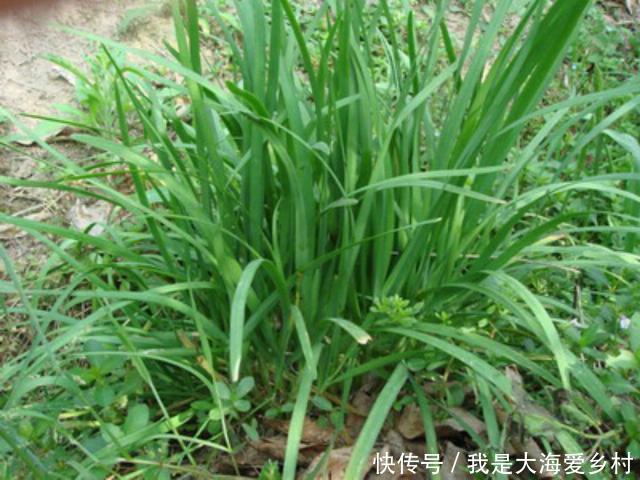 t01610252ccf66fdb80.jpg