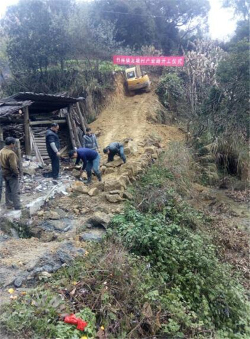 竹林镇龙塘村:支柱产业唱大戏,致富路畅来搭