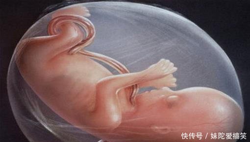 孕妇晚上胎动频繁, 害怕胎儿缺氧? 其实有5个原