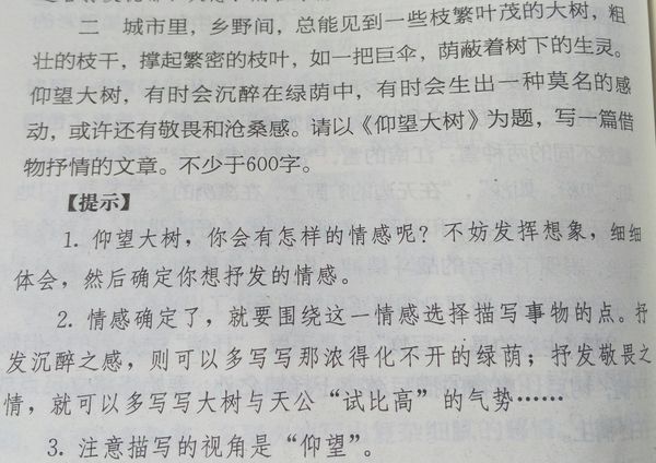 关于借物喻人题材的作文