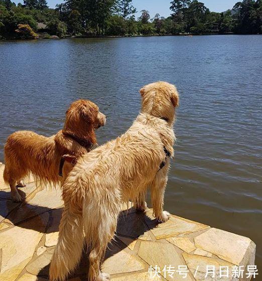 疗养院是干什么的