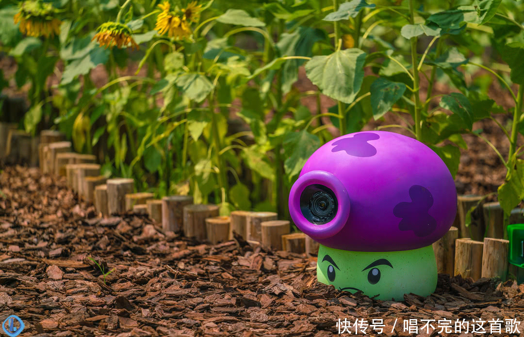 田园东方,植物大战僵尸农场让你一次玩个够