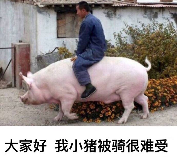 搞笑动态斗图表情包笑死人,搞笑动态斗图表情包笑死人图片
