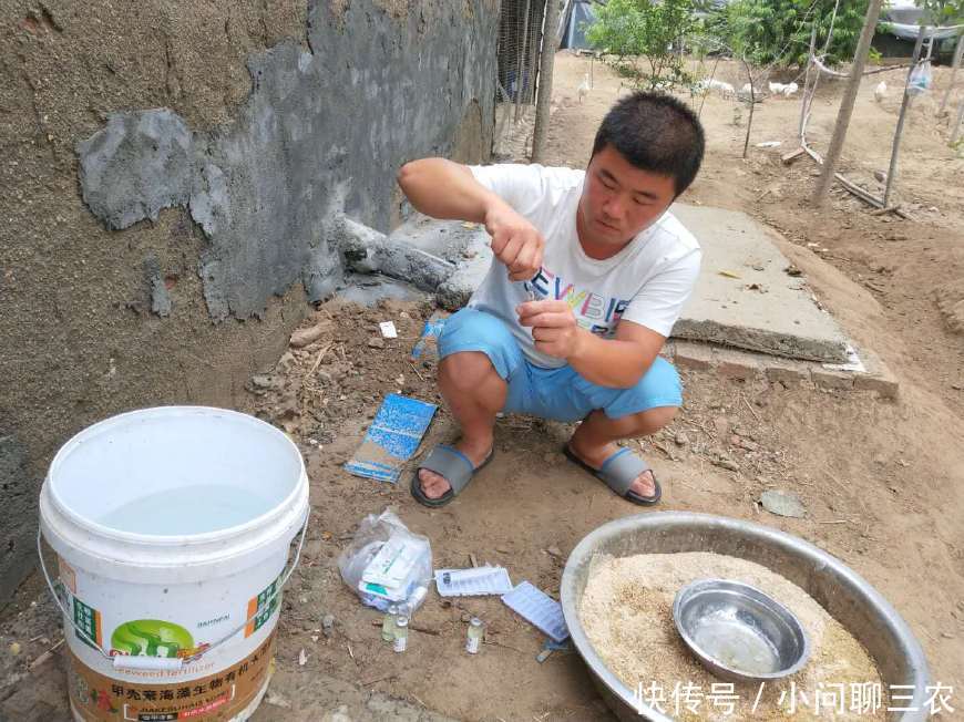 农村小伙这样养鹅,真是不容易呀!