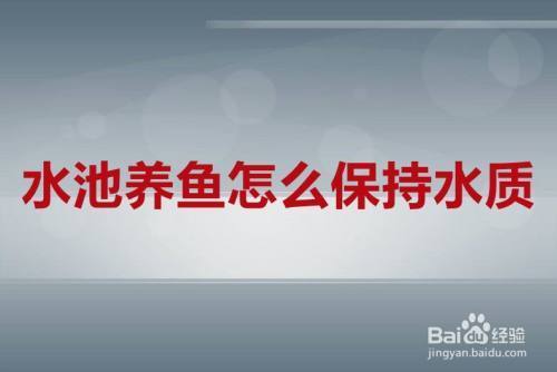 肇庆金龙鱼的经销商有哪些呢（肇庆金龙鱼的经销商有哪些呢