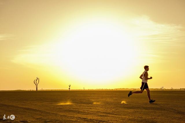 10句努力奋斗好的诗句(致正在努力奋斗的你们