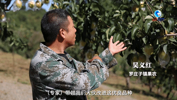t01664ea71b595bf4a7.gif?size=360x203