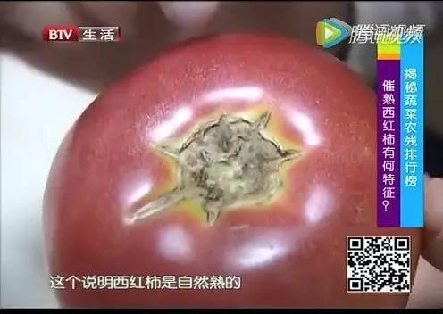 “毒中之王”蔬菜竟是它:目前正大量上市 - 一统江山 - 一统江山的博客 “毒中之王”蔬菜竟是它:目前正大量上市 - 一统江山 - 一统江山的博客