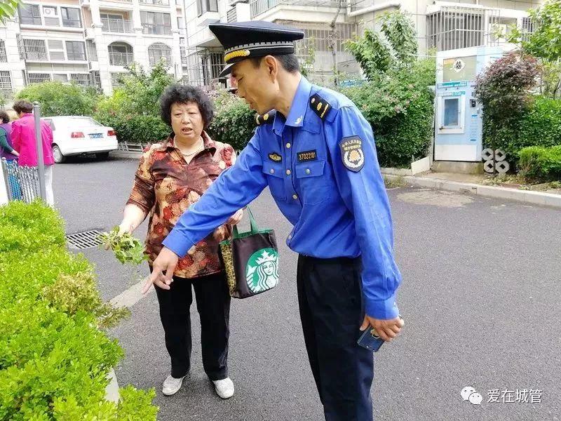 别了，小菜园!李沧区圈地种菜专项整治在行动