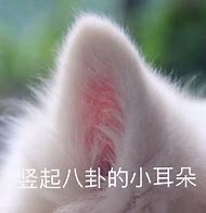 网易踏足娱乐圈,吃瓜进入2.0时代