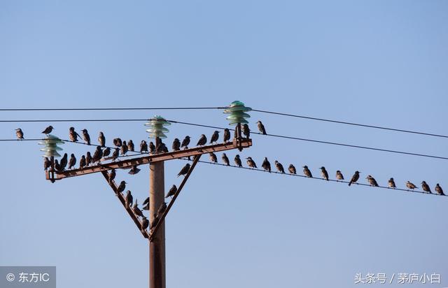 什么是涉黑涉恶?具体有哪些类型的案件是属于