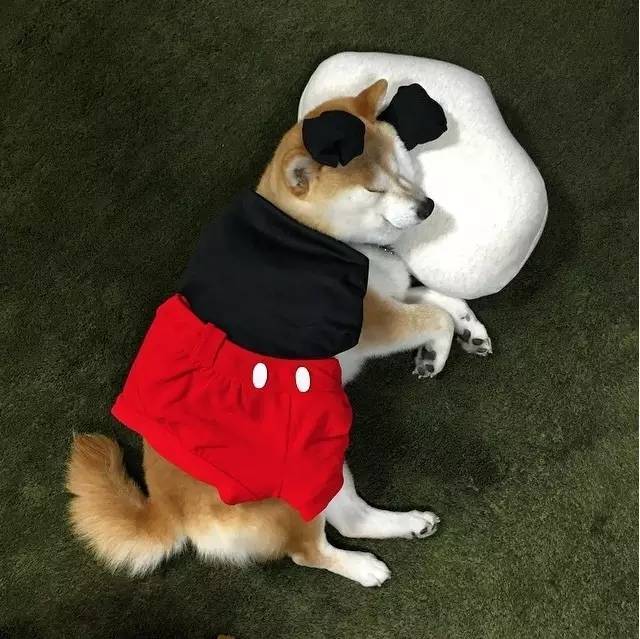 米老鼠(狗)