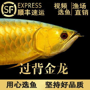 寶雞魚缸售后維護電話地址（寶雞魚缸售后維護電話地址查詢）