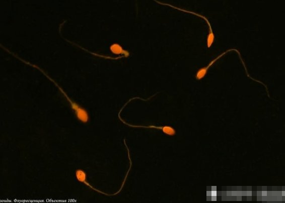 男子结婚35年养育9个孩子 如今竟发现自己早就