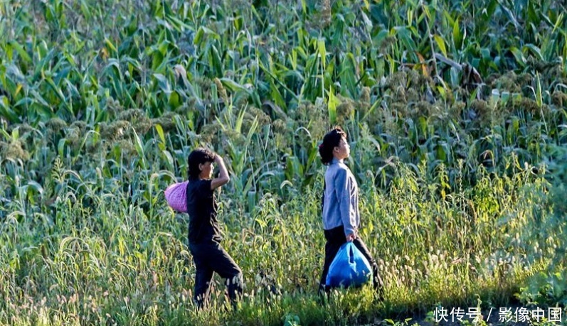 朝鲜农民过的日子，妇女和孩子们印象深刻