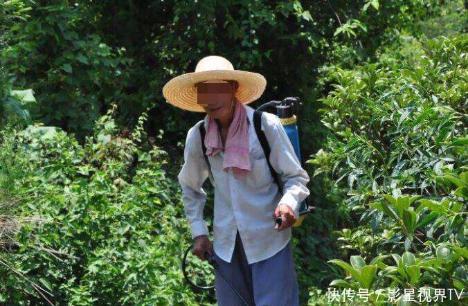 民间故事:老人梦到一条大黑蛇,告诉自己去一个