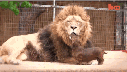 现在连和尚都能网购了.