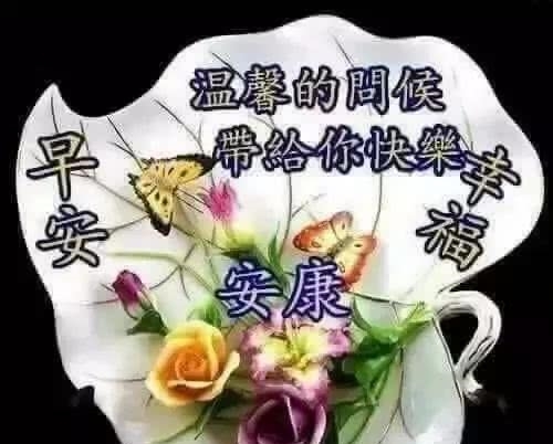 2019清晨群发早上好新版鲜花祝福图片 五一早