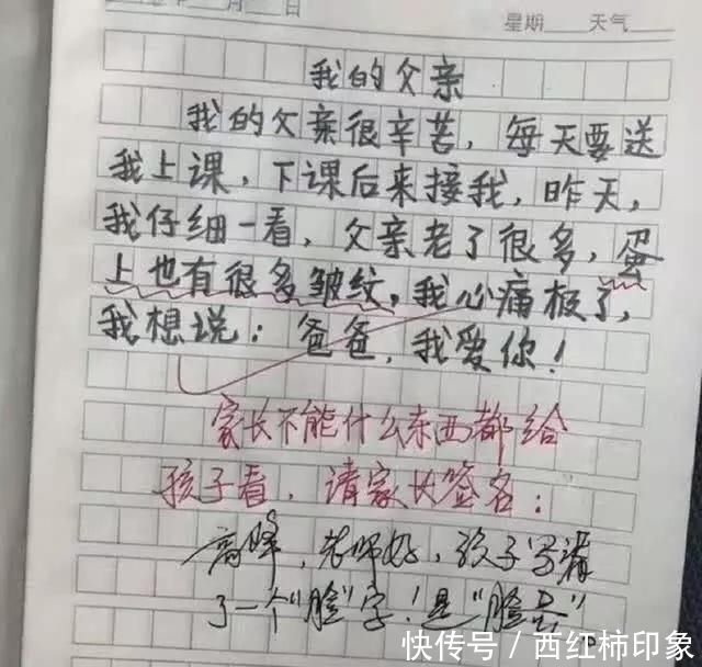小学生老师教学走红,小学看完气得直跺脚,数学妈妈作文满分案例分析图片