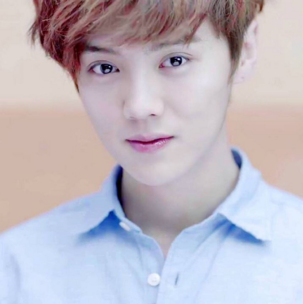 鹿晗原名叫刘壮实吗?_360问答