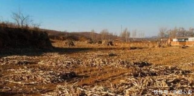 农村土地管理法