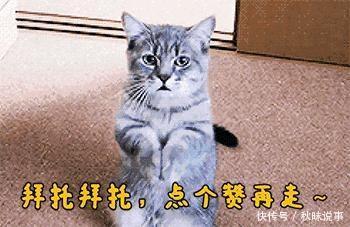 《哈哈农夫》节目组种假甘蔗被拆穿,金瀚贾乃