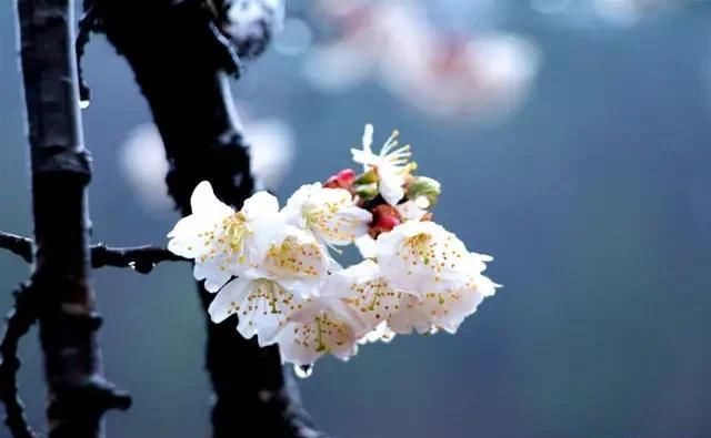 从标题到结尾,写政务信息简报的技巧都在这里