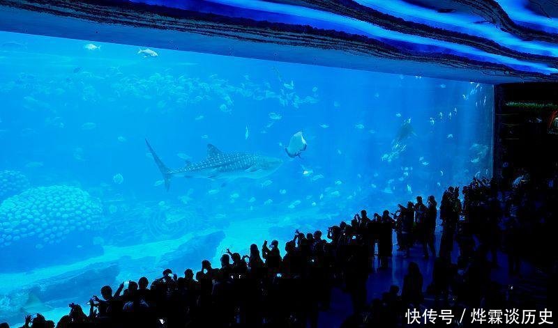 粤港澳是一个城市