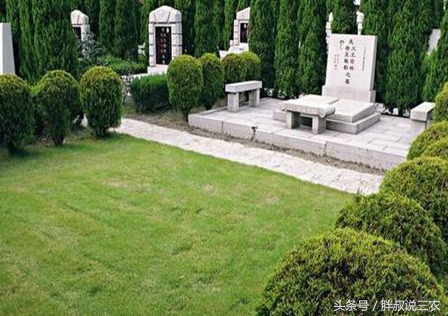 也有几种树不宜在坟地栽,槐树,枫树最为不宜,因为它们生长快,根系