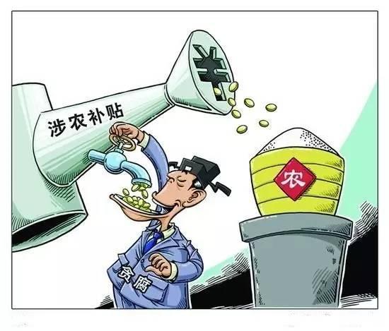 公司小股东利益保护_损害国家利益损害_损害公司利益