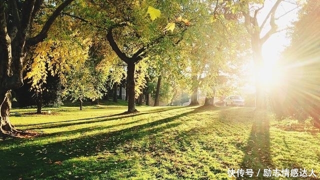 非常经典的句子:不是人生选择了你,而是你选择