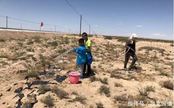 适合残疾人的工作