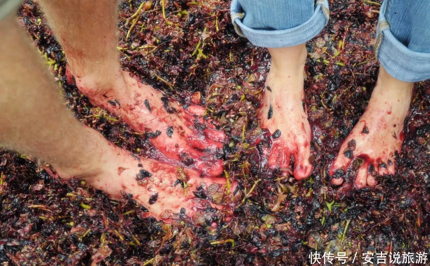 世界上最顶级的葡萄酒, 都是少女赤脚踩出来的